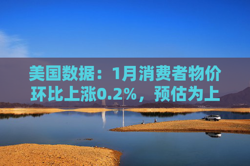 美国数据：1月消费者物价环比上涨0.2%，预估为上涨0.3%