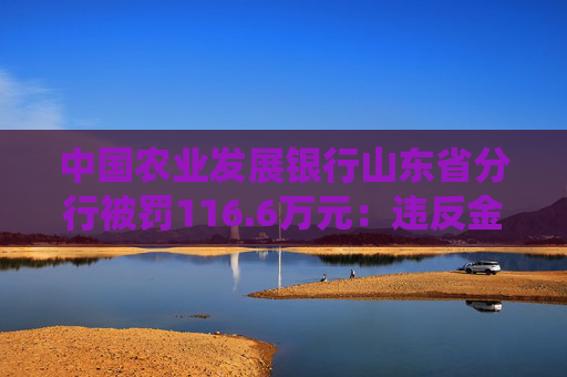 中国农业发展银行山东省分行被罚116.6万元：违反金融统计相关规定