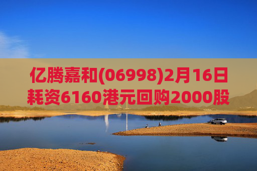 亿腾嘉和(06998)2月16日耗资6160港元回购2000股