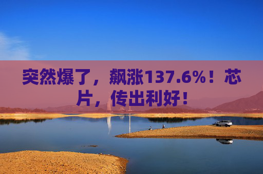 突然爆了，飙涨137.6%！芯片，传出利好！