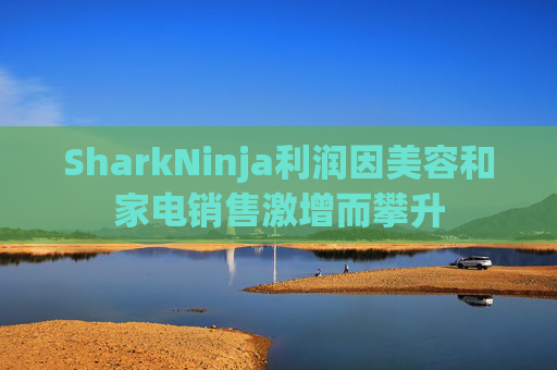 SharkNinja利润因美容和家电销售激增而攀升