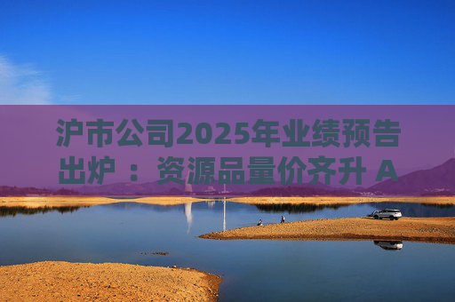 沪市公司2025年业绩预告出炉 ：资源品量价齐升 AI链景气延续