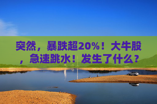 突然，暴跌超20%！大牛股，急速跳水！发生了什么？  第1张