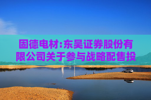 固德电材:东吴证券股份有限公司关于参与战略配售投资者的专项核查报告  第1张