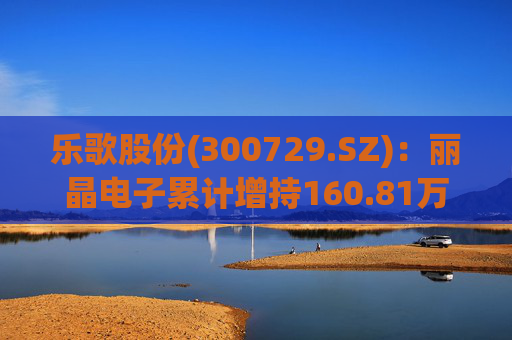 乐歌股份(300729.SZ)：丽晶电子累计增持160.81万股