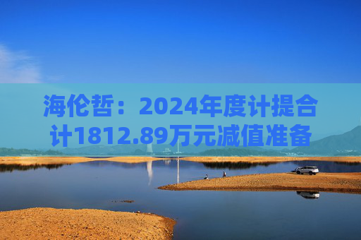 海伦哲：2024年度计提合计1812.89万元减值准备