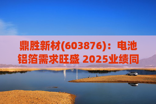 鼎胜新材(603876)：电池铝箔需求旺盛 2025业绩同比高增