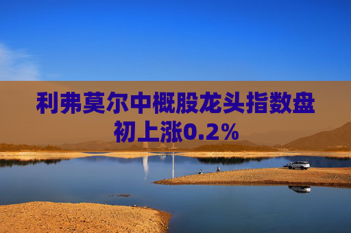 利弗莫尔中概股龙头指数盘初上涨0.2%  第1张