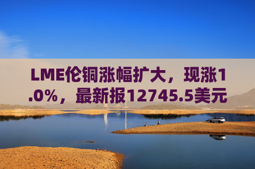LME伦铜涨幅扩大，现涨1.0%，最新报12745.5美元/吨