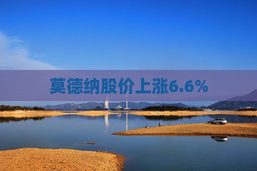 莫德纳股价上涨6.6%
