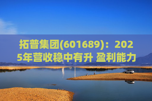 拓普集团(601689)：2025年营收稳中有升 盈利能力短期承压