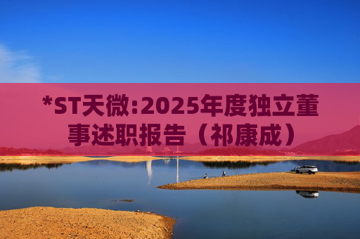 *ST天微:2025年度独立董事述职报告（祁康成）  第1张