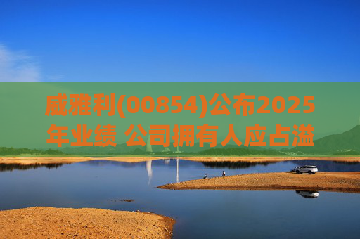 威雅利(00854)公布2025年业绩 公司拥有人应占溢利5095.8万港元