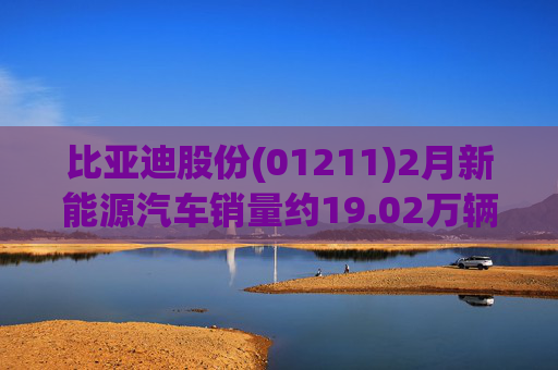 比亚迪股份(01211)2月新能源汽车销量约19.02万辆