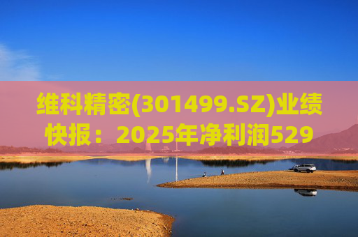 维科精密(301499.SZ)业绩快报:2025年净利润5293.82万元 同比增长16.85% 第1张 维科精密(301499.SZ)业绩快报:2025年净利润5293.82万元 同比增长16.85% 第1张