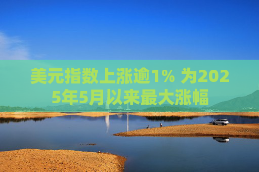 美元指数上涨逾1% 为2025年5月以来最大涨幅  第1张