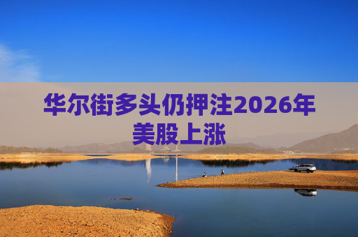 华尔街多头仍押注2026年美股上涨