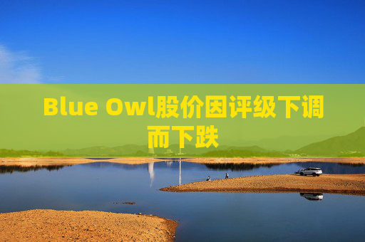 Blue Owl股价因评级下调而下跌