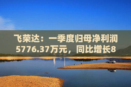 飞荣达：一季度归母净利润5776.37万元，同比增长85.57%  第1张