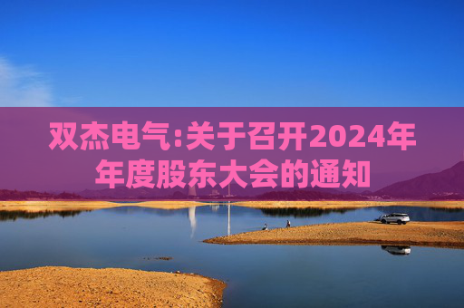 双杰电气:关于召开2024年年度股东大会的通知