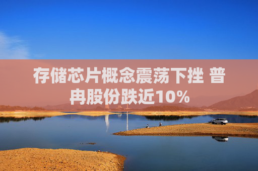 存储芯片概念震荡下挫 普冉股份跌近10%
