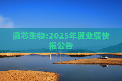 微芯生物:2025年度业绩快报公告  第1张