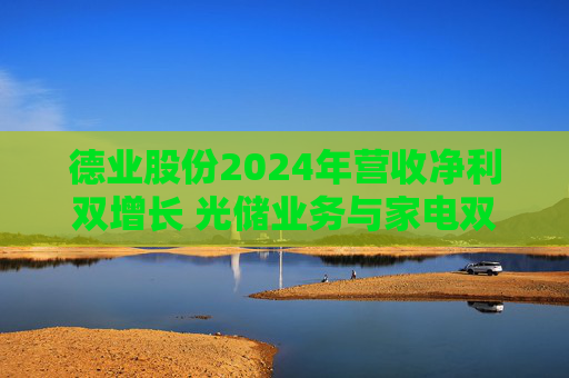 德业股份2024年营收净利双增长 光储业务与家电双轮驱动发力  第1张