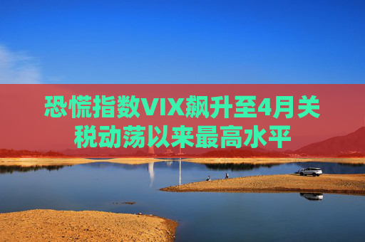 恐慌指数VIX飙升至4月关税动荡以来最高水平  第1张