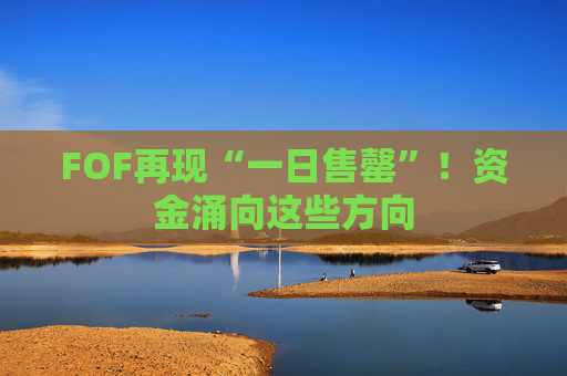 FOF再现“一日售罄”!资金涌向这些方向 第1张 FOF再现“一日售罄”!资金涌向这些方向 第1张