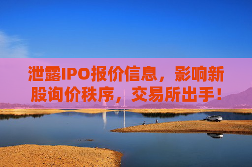 泄露IPO报价信息，影响新股询价秩序，交易所出手！