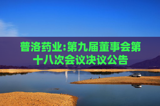 普洛药业:第九届董事会第十八次会议决议公告