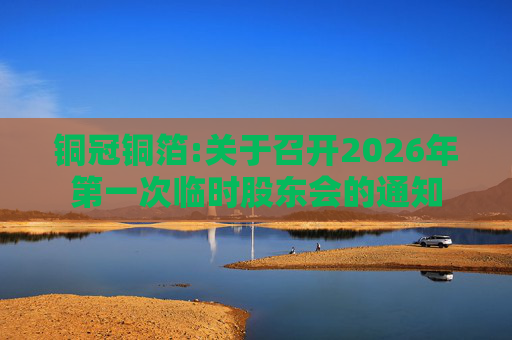 铜冠铜箔:关于召开2026年第一次临时股东会的通知