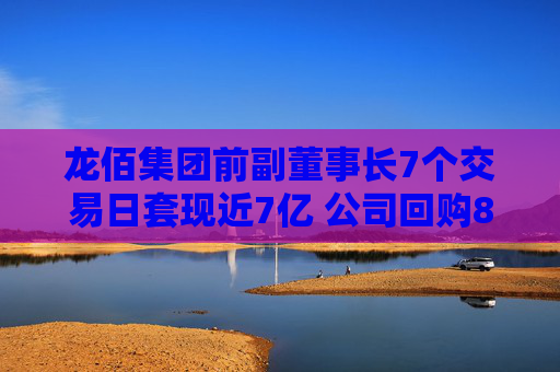 龙佰集团前副董事长7个交易日套现近7亿 公司回购8个月仅花2548万元！股吧投资者质疑“公司就不想回购”