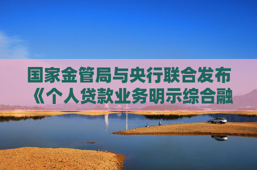 国家金管局与央行联合发布《个人贷款业务明示综合融资成本规定》  第1张