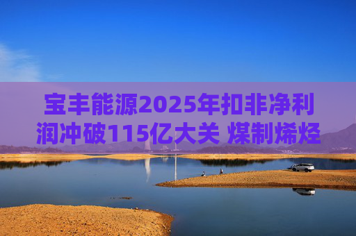 宝丰能源2025年扣非净利润冲破115亿大关 煤制烯烃龙头迎高光时刻 第1张 宝丰能源2025年扣非净利润冲破115亿大关 煤制烯烃龙头迎高光时刻 第1张