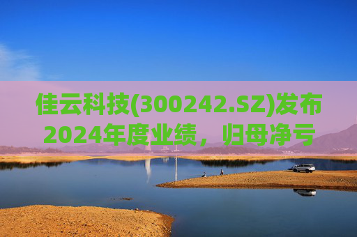 佳云科技(300242.SZ)发布2024年度业绩，归母净亏损1.06亿元，扩大10.93%