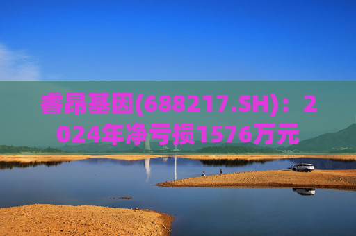 睿昂基因(688217.SH)：2024年净亏损1576万元