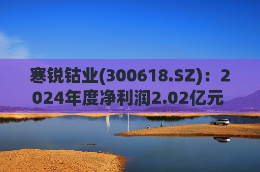 寒锐钴业(300618.SZ):2024年度净利润2.02亿元 拟10派1.5元 第1张 寒锐钴业(300618.SZ):2024年度净利润2.02亿元 拟10派1.5元 第1张