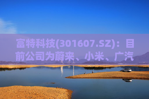 富特科技(301607.SZ)：目前公司为蔚来、小米、广汽、零跑、雷诺等多个主机厂配套相关产品  第1张