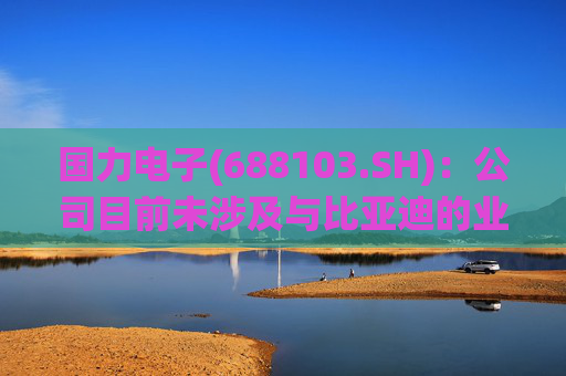 国力电子(688103.SH)：公司目前未涉及与比亚迪的业务合作  第1张