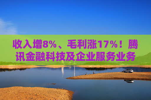 收入增8%、毛利涨17%！腾讯金融科技及企业服务业务稳健增长