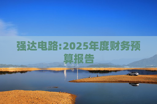 强达电路:2025年度财务预算报告  第1张