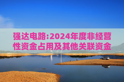 强达电路:2024年度非经营性资金占用及其他关联资金往来情况汇总表