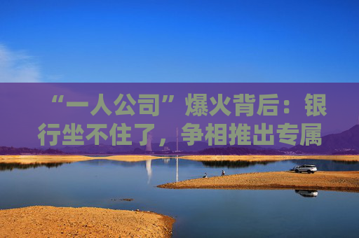 “一人公司”爆火背后：银行坐不住了，争相推出专属金融方案