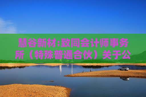 慧谷新材:致同会计师事务所（特殊普通合伙）关于公司首次公开发行股票并在创业板上市的财务报表及审计报告