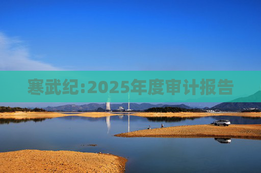 寒武纪:2025年度审计报告  第1张