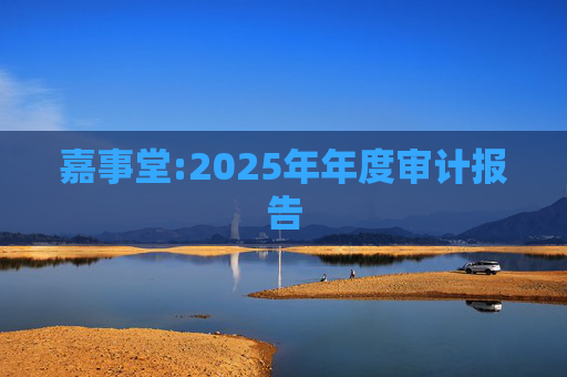 嘉事堂:2025年年度审计报告