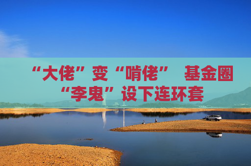 “大佬”变“啃佬”  基金圈“李鬼”设下连环套 第1张