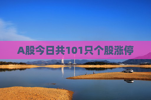 A股今日共101只个股涨停  第1张