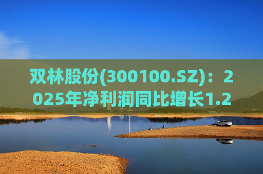 双林股份(300100.SZ)：2025年净利润同比增长1.25% 拟10股派1元
